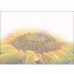 CAROL CAVALARIS GREETING CARD Rainbow Sunflower